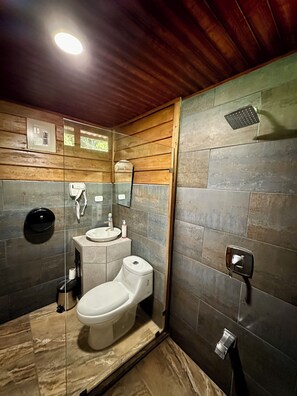 Studio luxueux, vue sur la montagne, côté montagne | Salle de bain | Douche, serviettes fournies, savon, shampooing