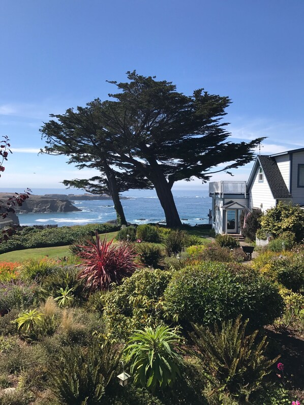 Exterior - Agate Cove Inn (Mendocino)