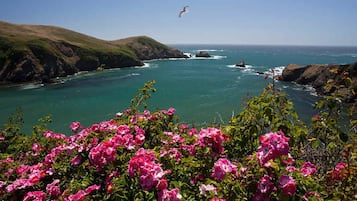 Façade de lâhĂ©bergement