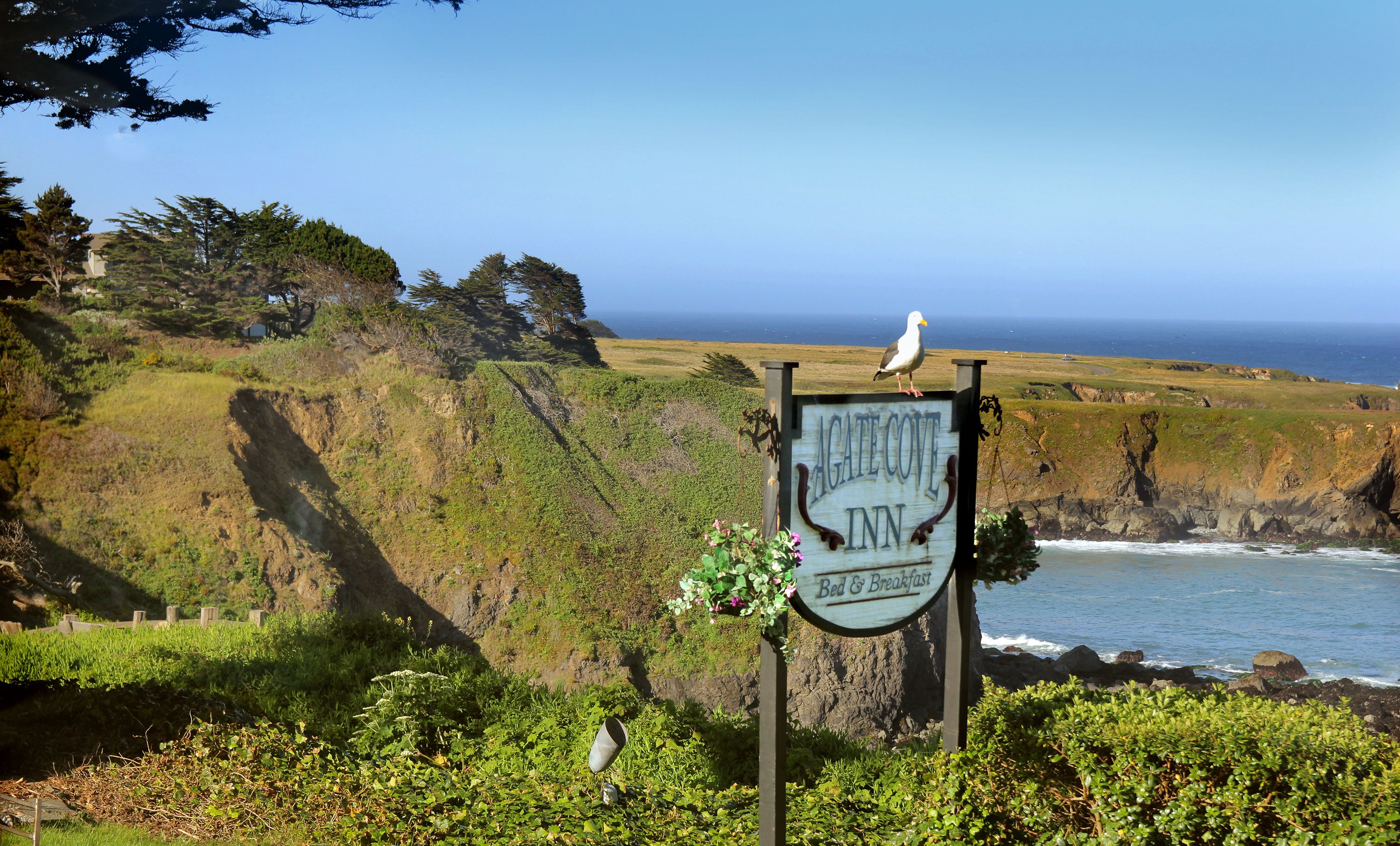 Agate cove inn wedding | Honestweddingadvice.com