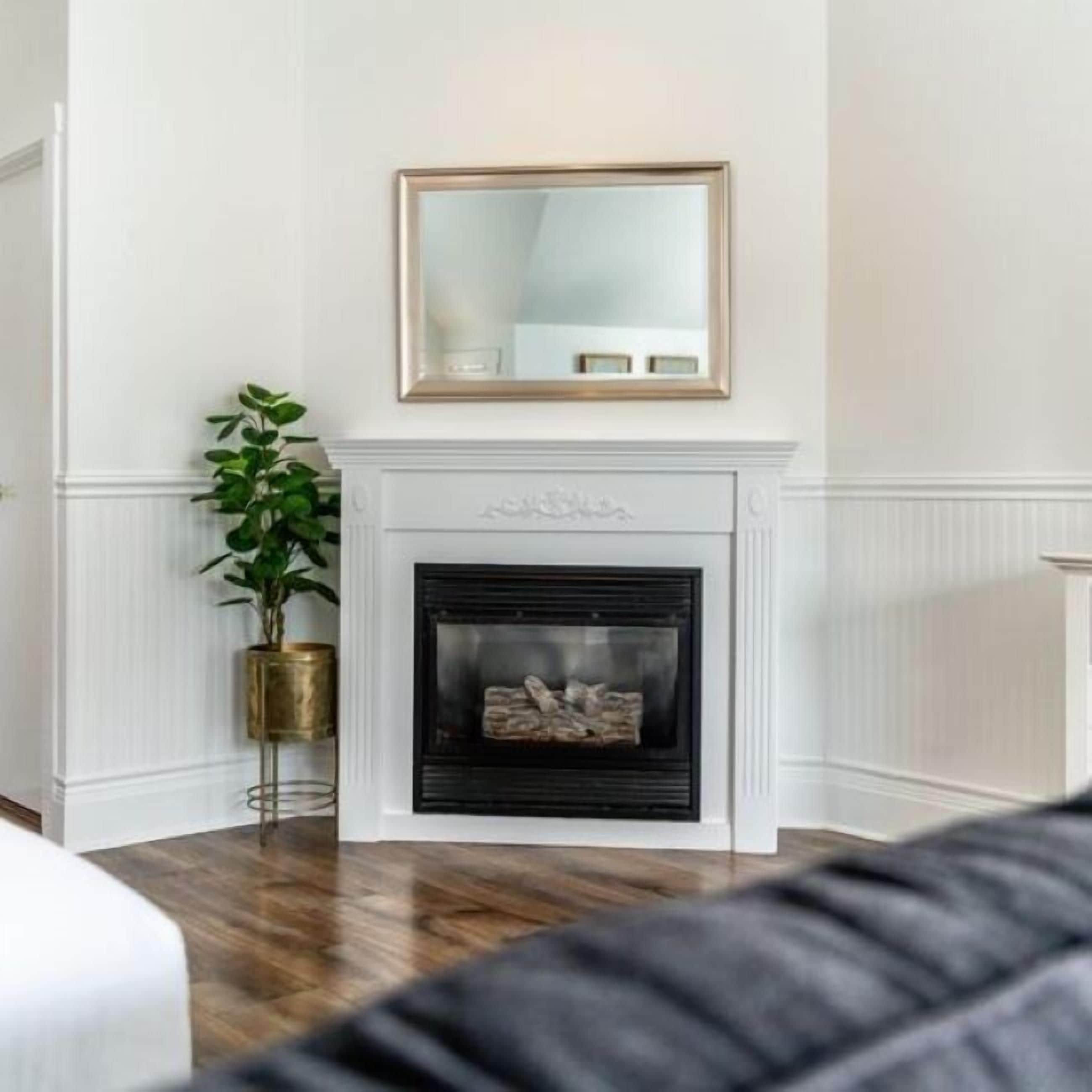 A room with a fireplace, a mirror above it, and a plant to the left.