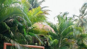 Una mujer camina hacia un arco de madera con un letrero que dice 'SPA' en un exuberante jardín con palmeras.