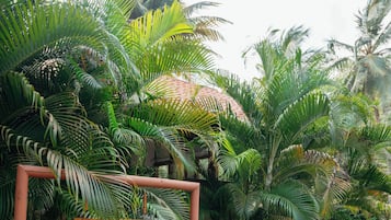 Massage in accommodation