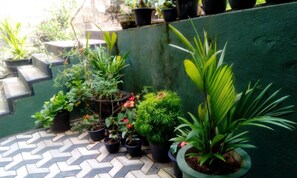Property grounds - Miracle Villa (Kandy)
