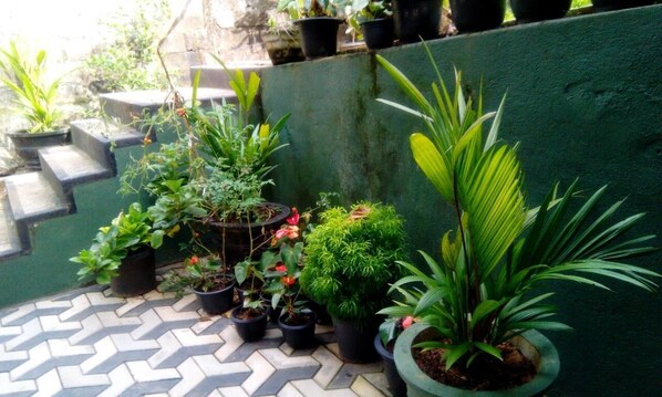 Property grounds - Miracle Villa (Kandy)