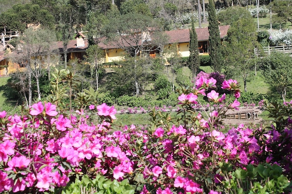 Appartement, vue lac | Vue de la chambre