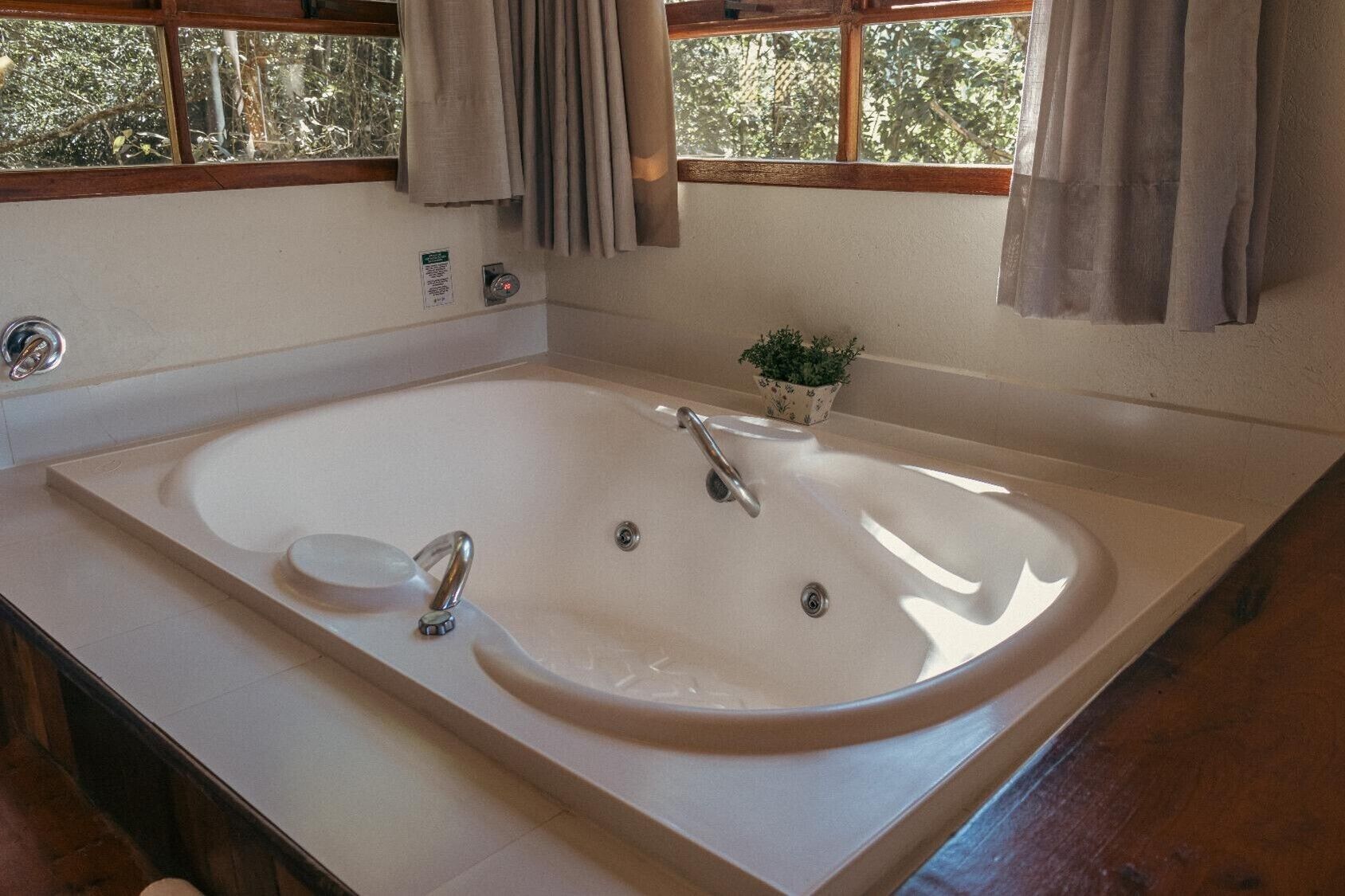 Un baño con una bañera grande, dos llaves y una pequeña planta en maceta sobre el mostrador.