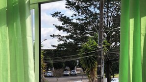 A window view of a parking lot with several cars, a palm tree, and a sign on a utility pole.