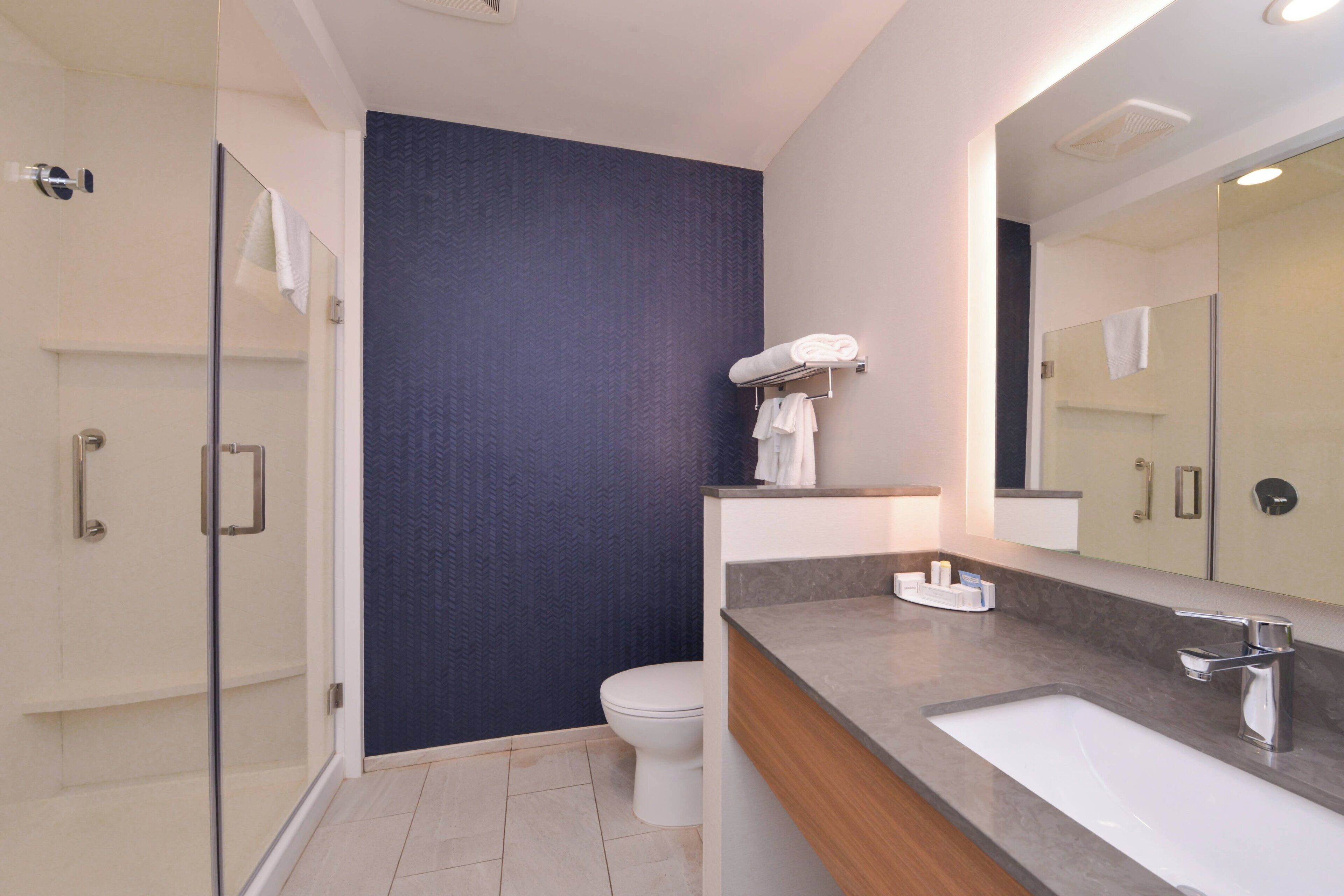 A modern bathroom with a glass shower enclosure, a white toilet, and a large mirror above a sink with a wooden vanity.