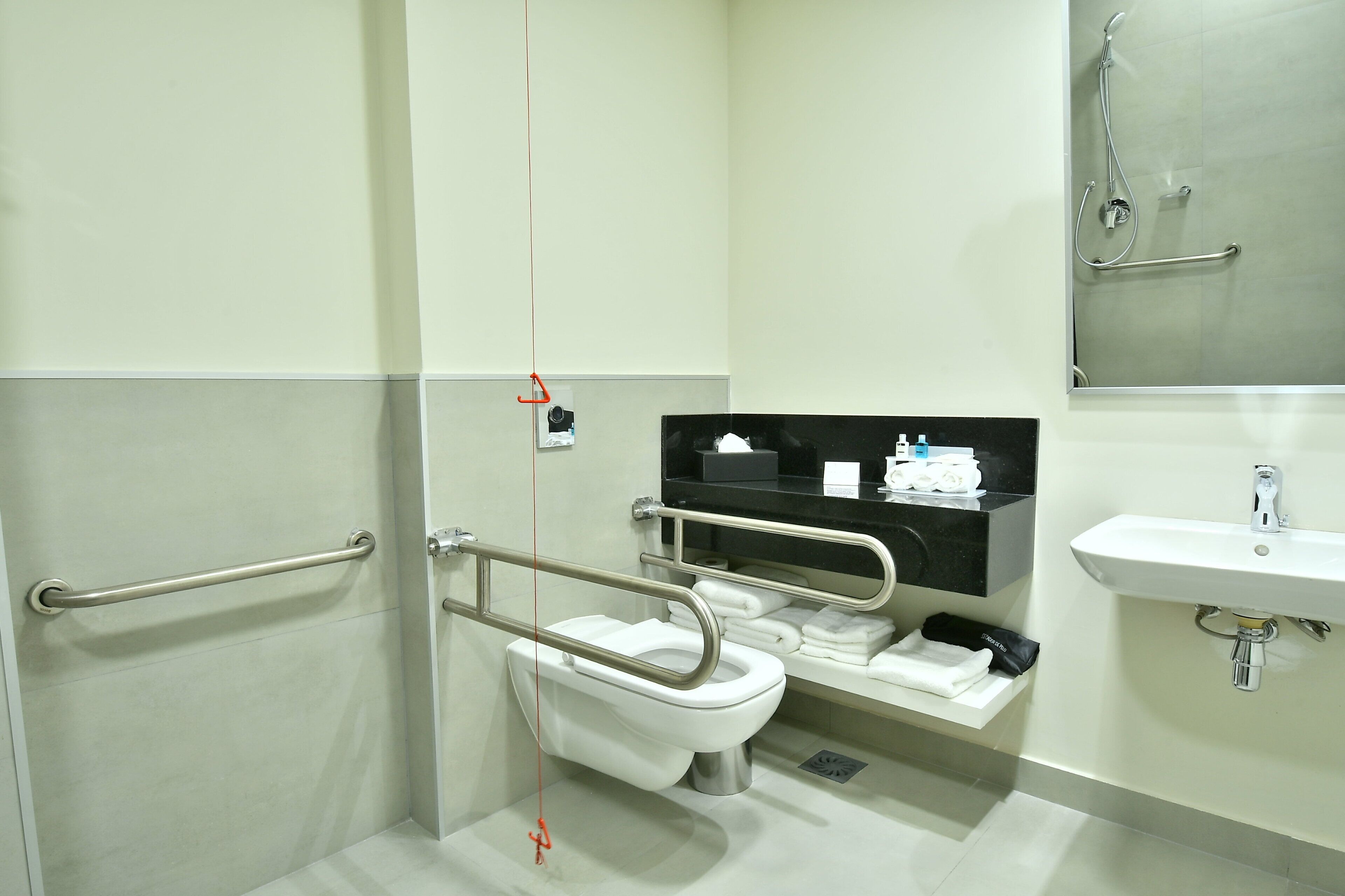 Ein Badezimmer mit Toilette, Haltegriffen, Waschbecken und Spiegel.