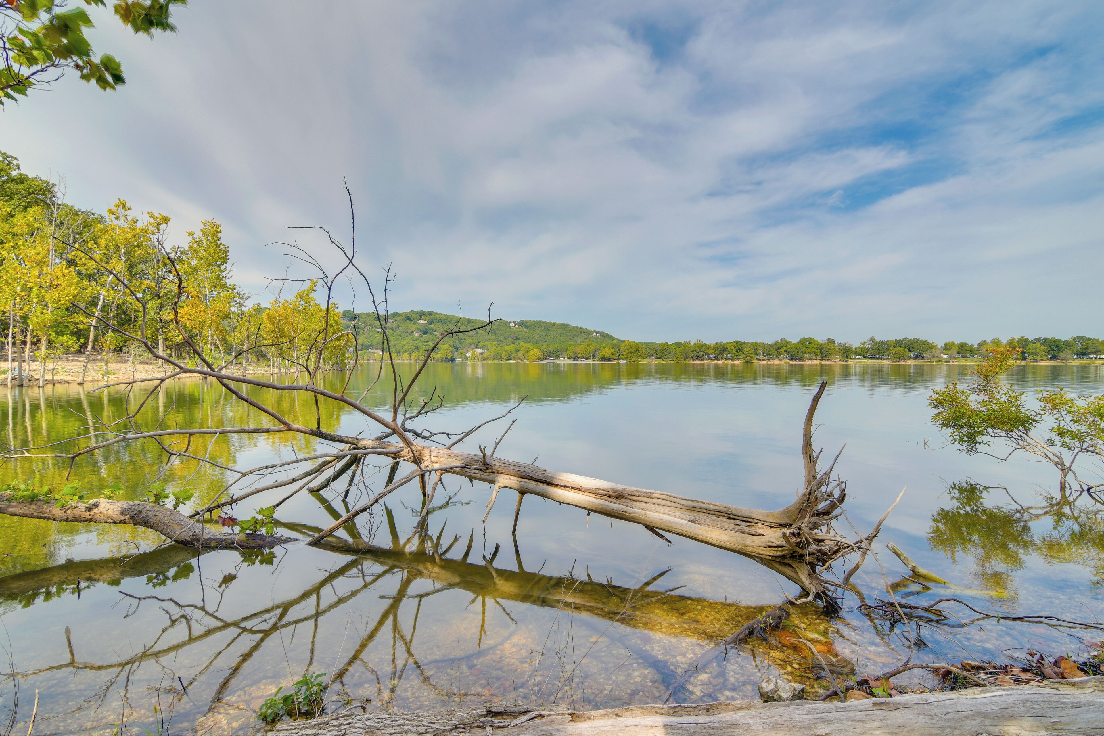 A calm lake with a fallen tree in the foreground, surrounded by trees and hills in the background.