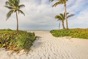 Plage à proximité, parasol