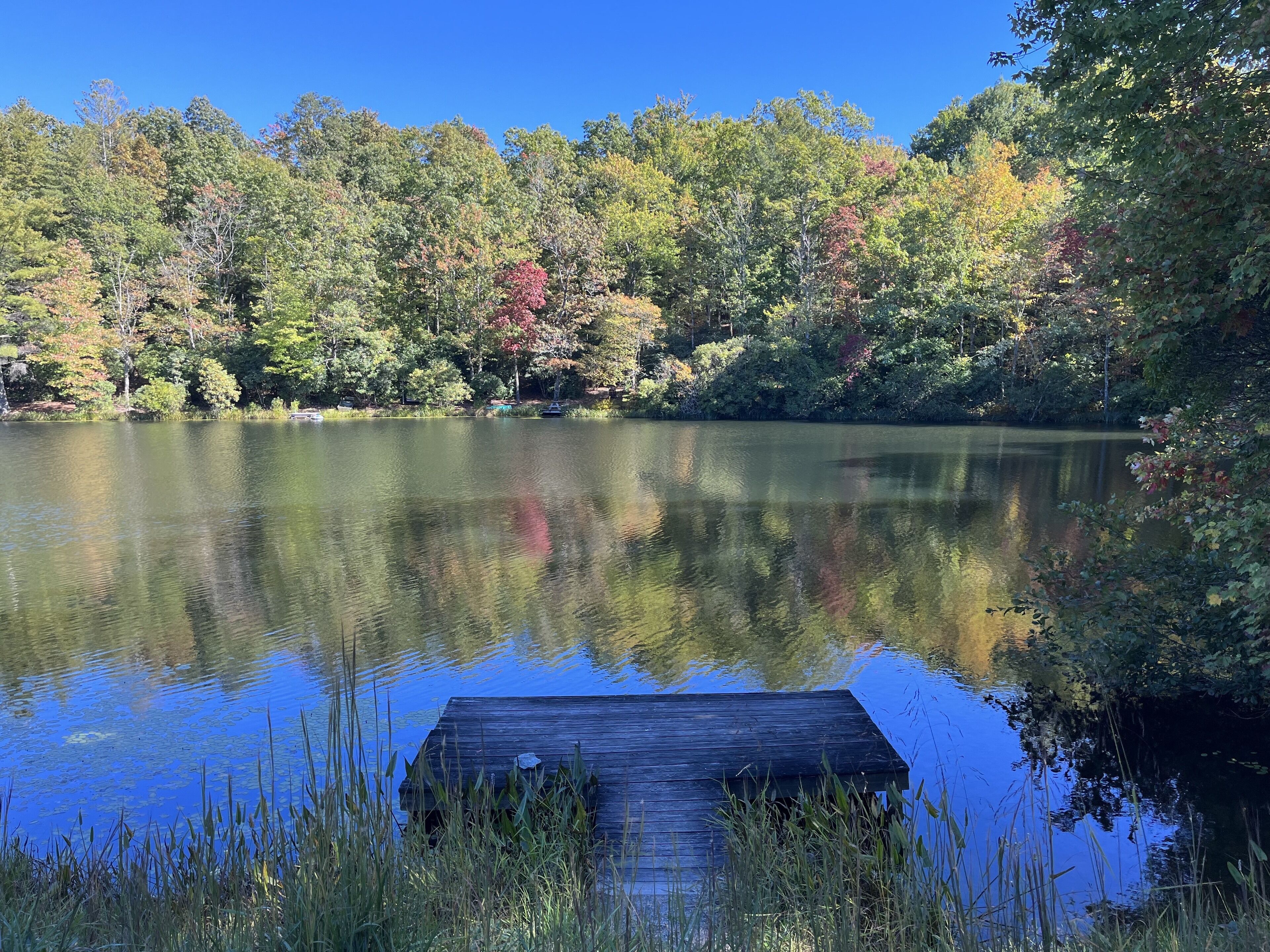 Ein ruhiger See mit einer hölzernen Anlegestelle, die ins Wasser ragt, umgeben von dichten Bäumen mit Herbstlaub.