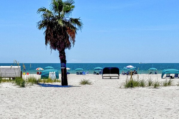 A beach with a palm tree, beach chairs, and umbrellas.