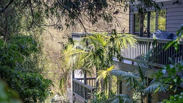 Un exuberante jardín con una terraza de madera, rodeado de follaje denso y un edificio al fondo.