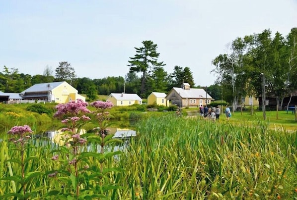 Ulkoalueet