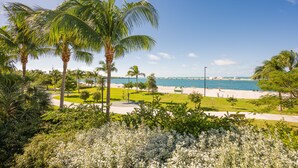 A coastal view with palm trees, a beach, and a clear blue sky.