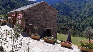 A stone building with a tiled roof, surrounded by potted plants and a stone-paved patio.