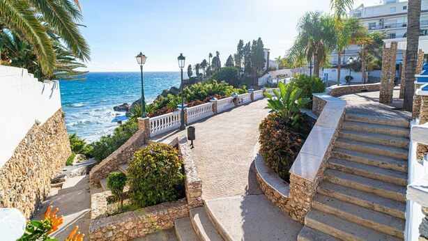 A coastal walkway with steps leading to a beach, surrounded by palm trees and a stone wall.