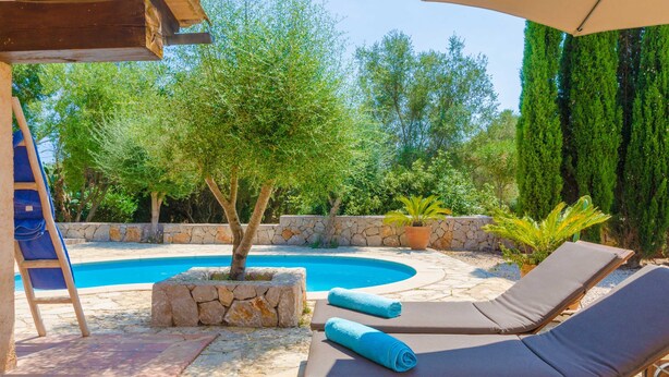 A poolside area with lounge chairs, a stone wall, and a small tree.