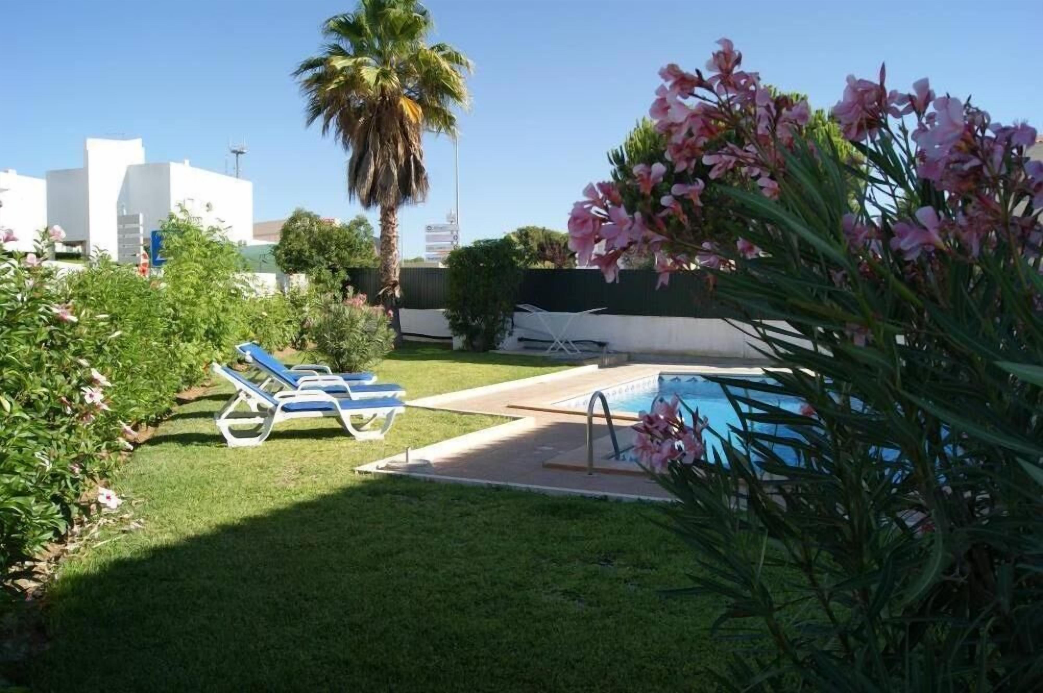 A pool area with lounge chairs, a palm tree, and a building in the background.