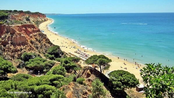 Playa