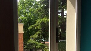 A view through a window with a view of trees and a building in the background.