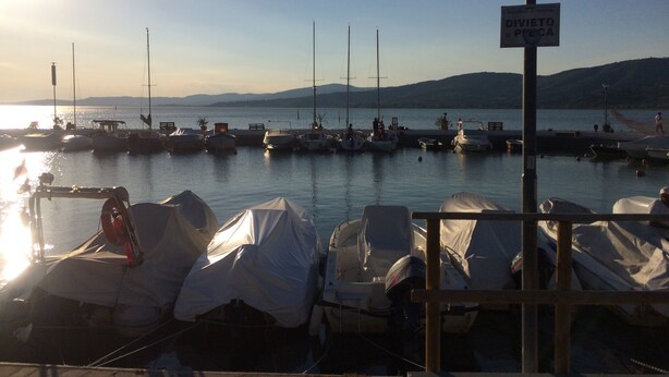 A marina with boats docked, a clear sky, and a sign indicating a division of the port.