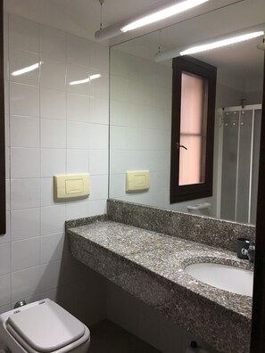 Shower, hair dryer, bidet, towels
