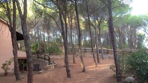 A rustic outdoor area with a stone wall, wooden fence, and potted plants. - Terraced house in the shade of pine trees 500 meters from the beach.   (PULA)