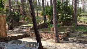 An outdoor patio with stone steps, white plastic chairs, and a table with a patterned tablecloth. - Terraced house in the shade of pine trees 500 meters from the beach.   (PULA)