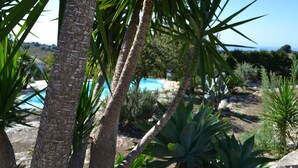 A pool surrounded by palm trees and agave plants. - GRECALE Studio 2/3 sleeps with Pool - Modica - Sicily (Modica)