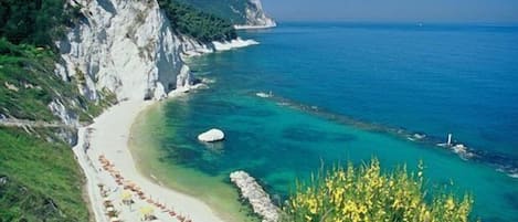Lettini da mare