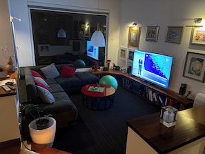TV connectée, cheminée, lecteur de DVD, livres