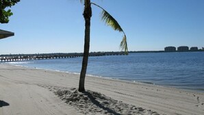 Een strand met een palmboom, een steiger op de achtergrond en gebouwen aan de overkant van het water.