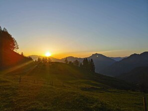 صورة غير مصنفة، 5 من 61، زرّ