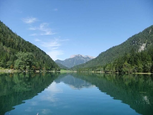 صورة غير مصنفة، 1 من 61، زرّ