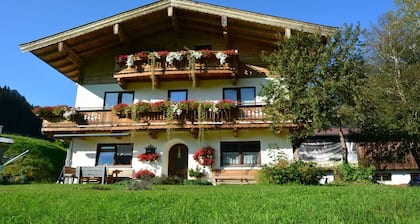 Double room 1 incl. extended breakfast (room no. 4) - Weindlhof