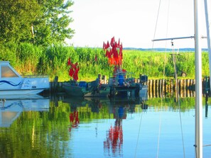 Unclassified image, 3 of 10, button