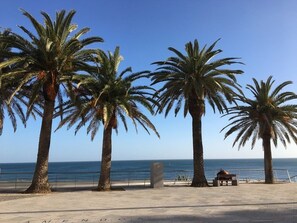 Property grounds - LUXURY APARTMENT VISTA PANORAMICA WITH MAGNIFICENT SEA VIEW DIRECTLY BY THE SEA (Armacao de Pera)