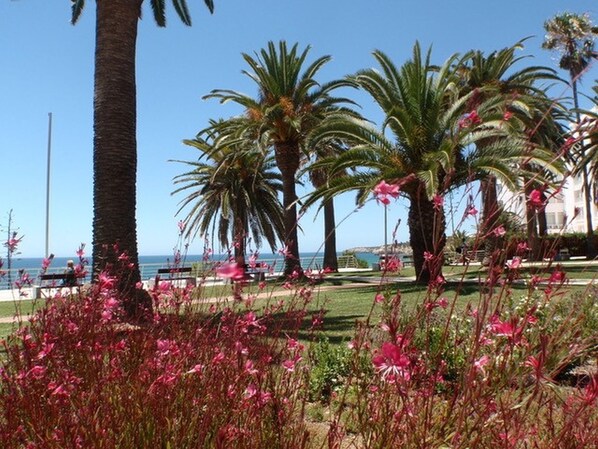 Un parc côtier bordé de palmiers et parsemé de fleurs roses.