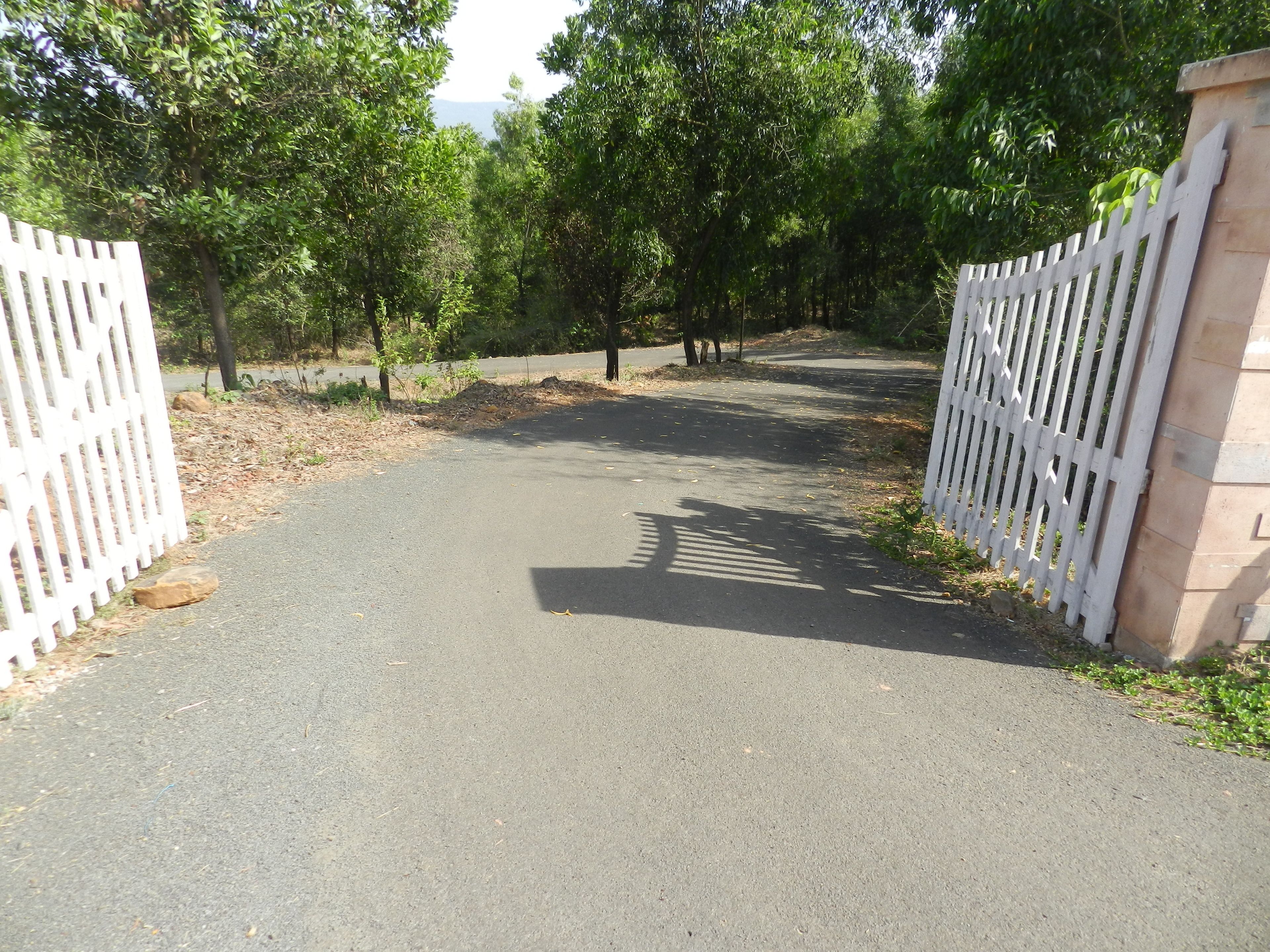 A paved pathway leading through a gated area with white picket fences on both sides.