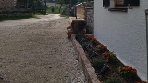 A building with a sign reading "Hotel Winterberg" and a gravel path leading to it.
