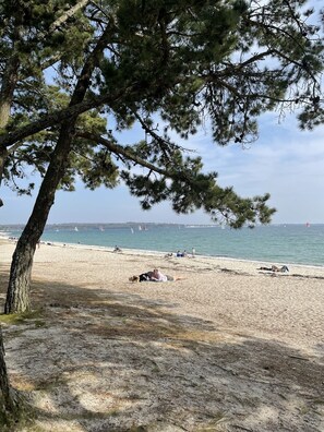 A beach with a tree in the foreground and a clear view of the sea and boats in the background.