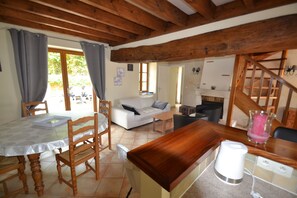 Télévision, cheminée, lecteur de DVD