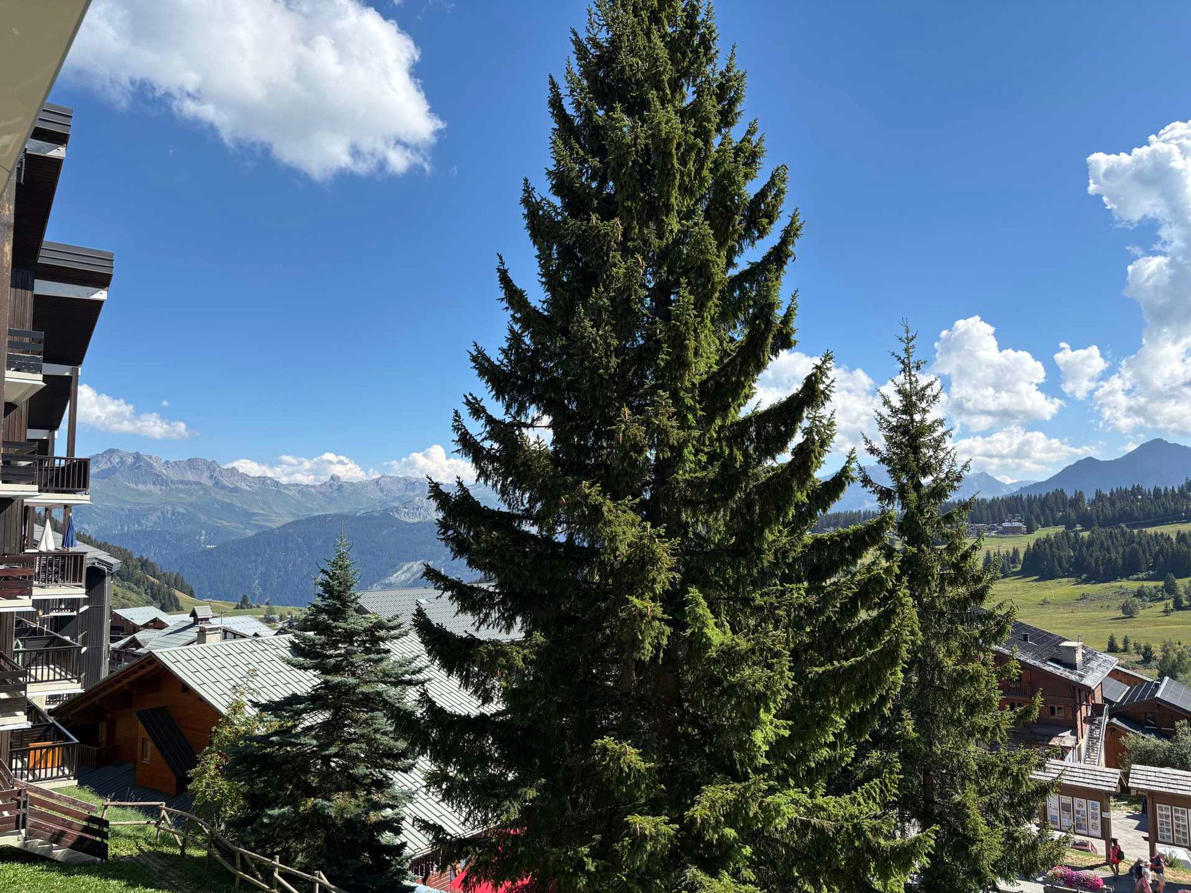 A mountain lodge with a view of snow-capped peaks and a large evergreen tree in the foreground.