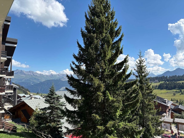 A mountain lodge with a view of snow-capped peaks and a large evergreen tree in the foreground.