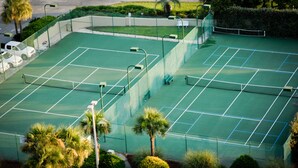Ein Tennisplatz mit Netz, umzäunt und von Palmen gesäumt.
