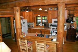 Fridge, microwave, oven, stovetop - 4th of July 2025!!   Family Reunion Log Cabin Lake View, Beach, Pontoon (Big Rapids)