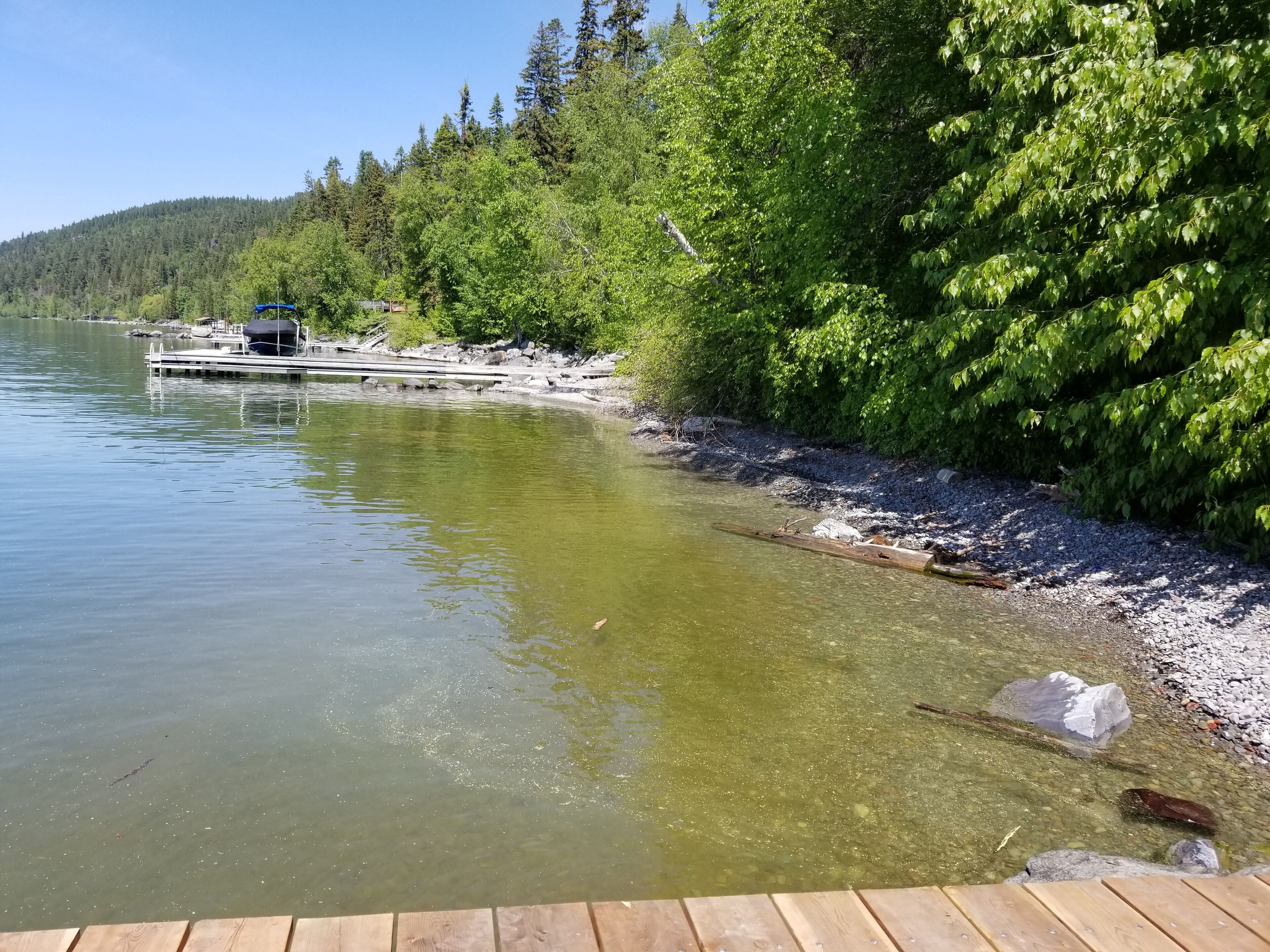 A wooden dock extending into a calm lake, surrounded by dense green foliage and a forested hillside.